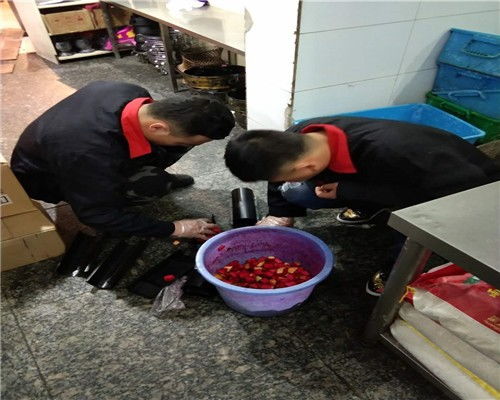 北京通州區食品廠滅臭蟲服務全解析 專業除蟲與公關策略